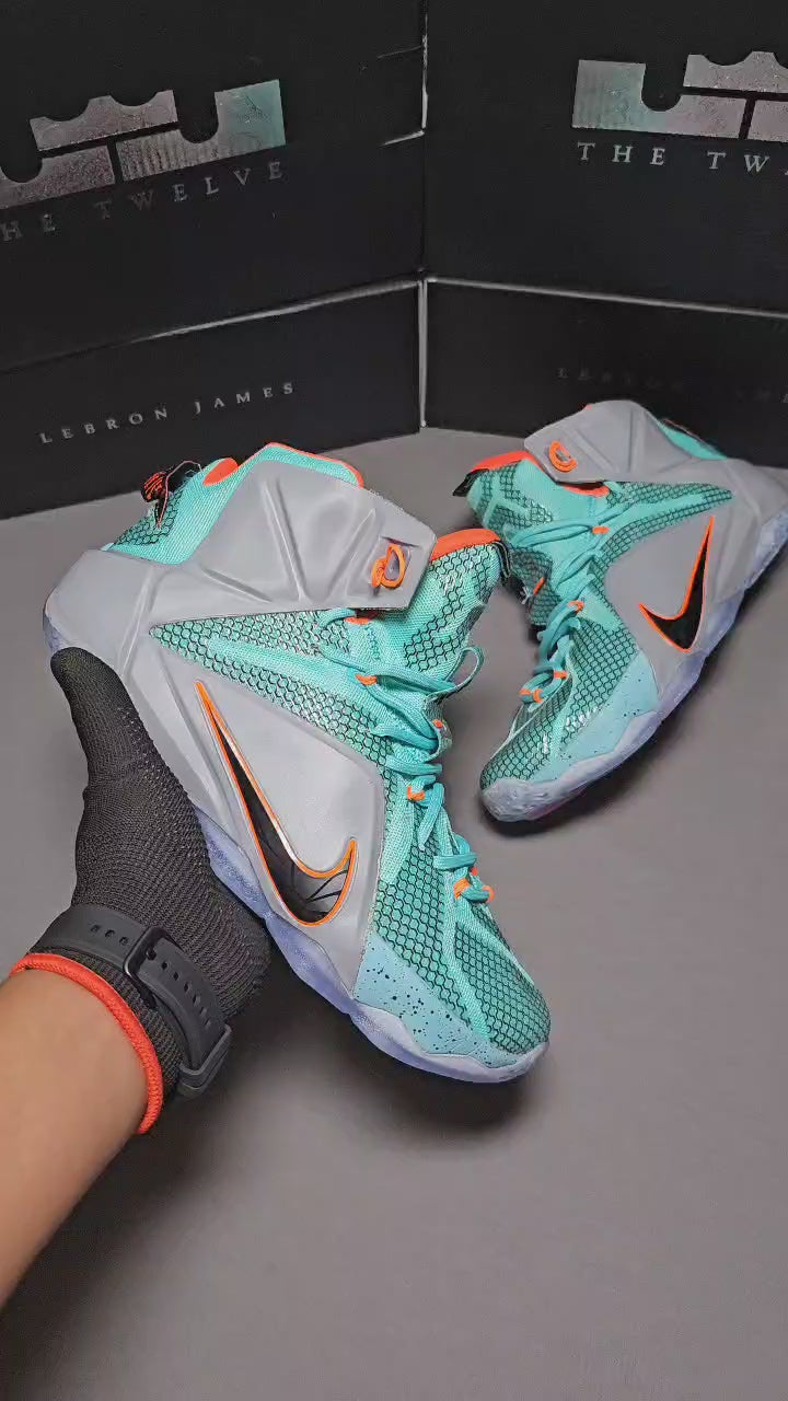 Lebron 12 boys on sale